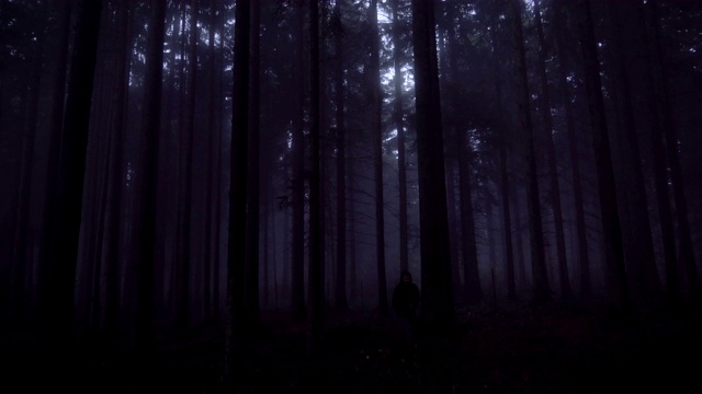 穿着黑色夹克的游客在浓雾弥漫的树林中漫步视频素材