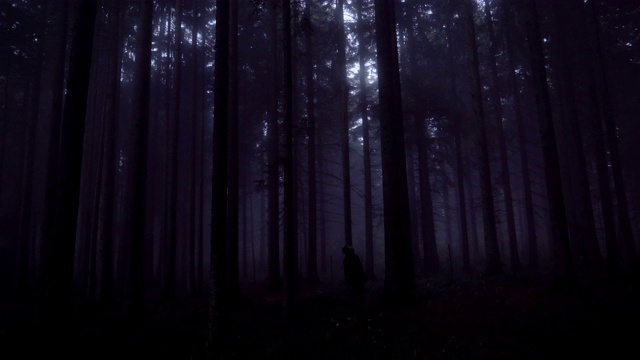 一名游客在浓雾弥漫的深夜里迷失了方向，寻求帮助。人寻找庇护的概念视频素材