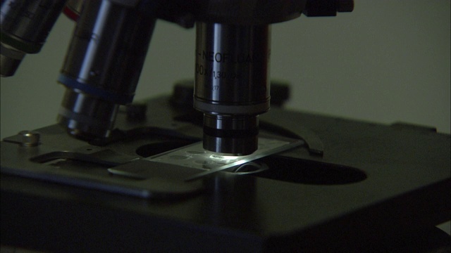 显微镜照射在实验室里。视频素材