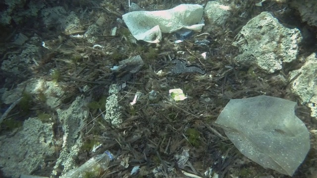塑料污染，很多塑料垃圾底部覆盖着海藻。俯视图，塑料瓶，袋子和盘子在海床上的地中海，欧洲。视频素材
