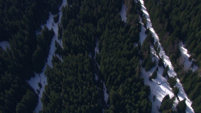 一道防雪崩栅栏穿过山涧上方森林覆盖的斜坡。视频下载