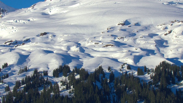 厚厚的积雪覆盖着树木繁茂的山顶。视频下载