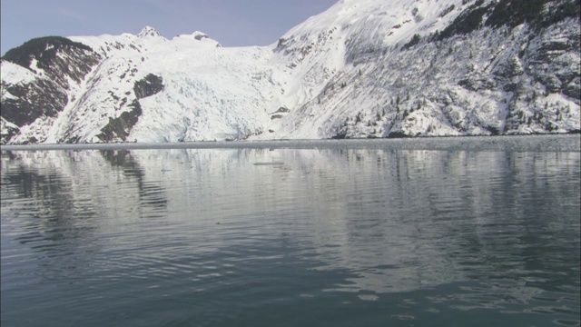 威廉王子湾反映了冰川和山脉。视频下载