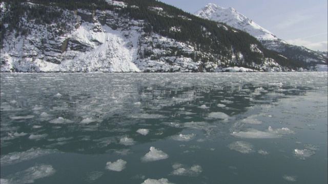 威廉王子湾漂浮着冰块。视频下载