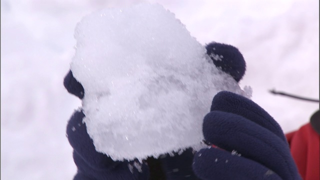 一双戴着手套的手捧着一块覆盖着粉状雪的冰。视频下载