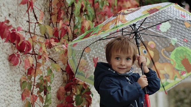 雨中快乐的小男孩站在雨伞下，背景是秋天的黄叶视频素材