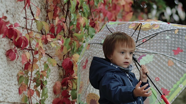 雨中快乐的小男孩站在雨伞下，背景是秋天的黄叶视频素材