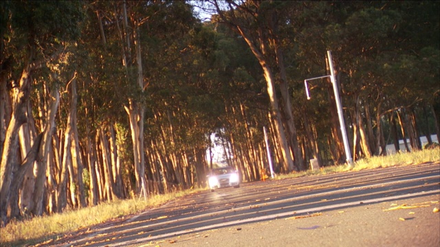 一辆汽车沿着林荫道行驶，前灯闪闪发光。视频下载