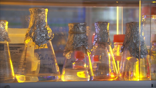 在实验室里，烧瓶的顶部覆盖着铝箔。视频下载