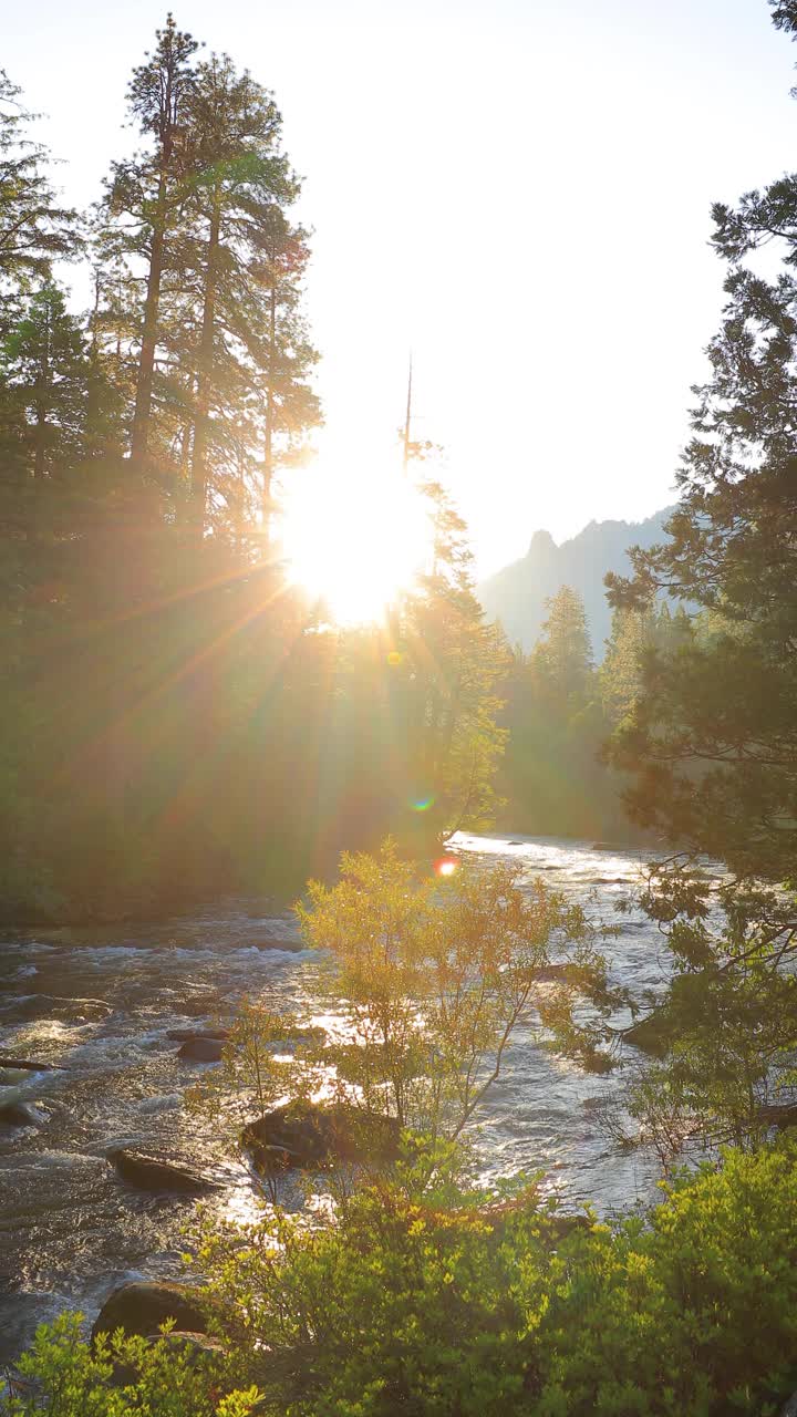约塞米蒂国家公园美丽的早晨视频素材