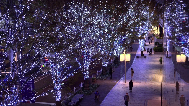 圣诞灯的Keyakizaka视频素材