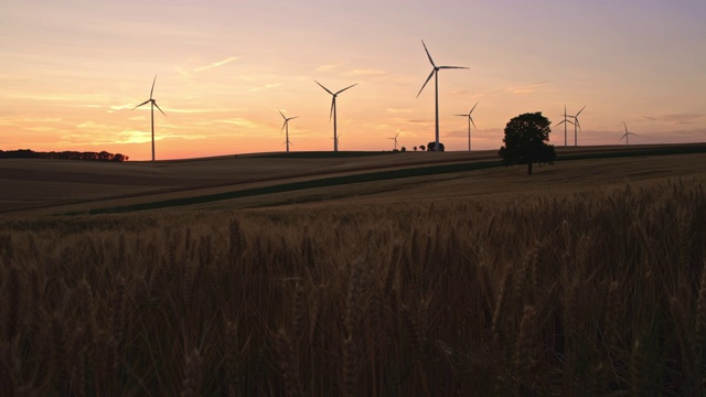黄昏时分，麦田里的风力发电机视频素材