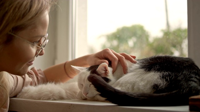 女人抚摸着窗台上熟睡的小猫视频素材