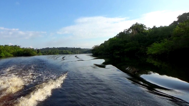 在巴西亚马逊河的黑鬼水域航行。视频素材