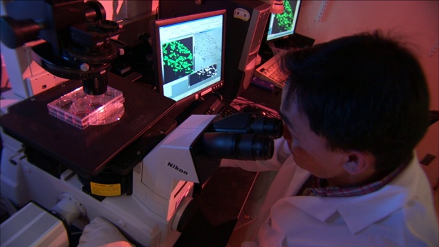 科学家通过复杂的显微镜观察。视频素材