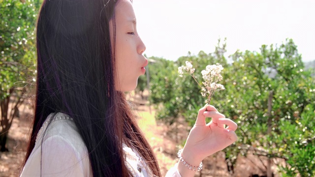 SLO MO美丽的女孩吹植物种子视频下载
