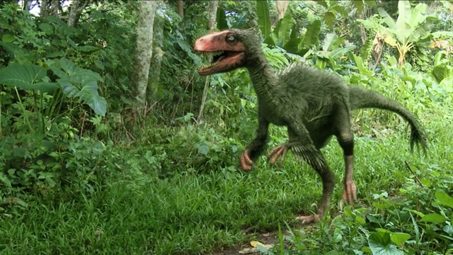 电脑制作的动画中，一只长着羽毛的恐龙小心翼翼地穿过一片森林。视频下载