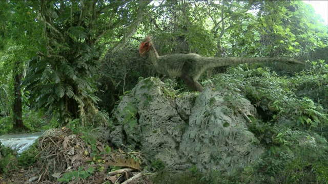 在电脑生成的动画中，一对有羽毛的恐龙在森林中跳跃。视频下载