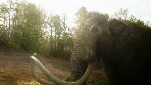 在电脑制作的动画中，一头乳齿象笨拙地穿过一片泥泞的田野，经过一片森林。视频素材