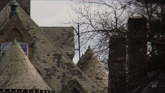 树枝在带有圆锥形屋顶的建筑物附近的烟囱周围摇摆。视频下载