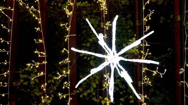树上挂着LED灯。这个形状看起来像雪花。在晚上。主题在右边。视频下载