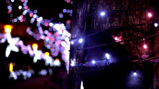 近距离观察树上五颜六色的LED灯泡。视频下载