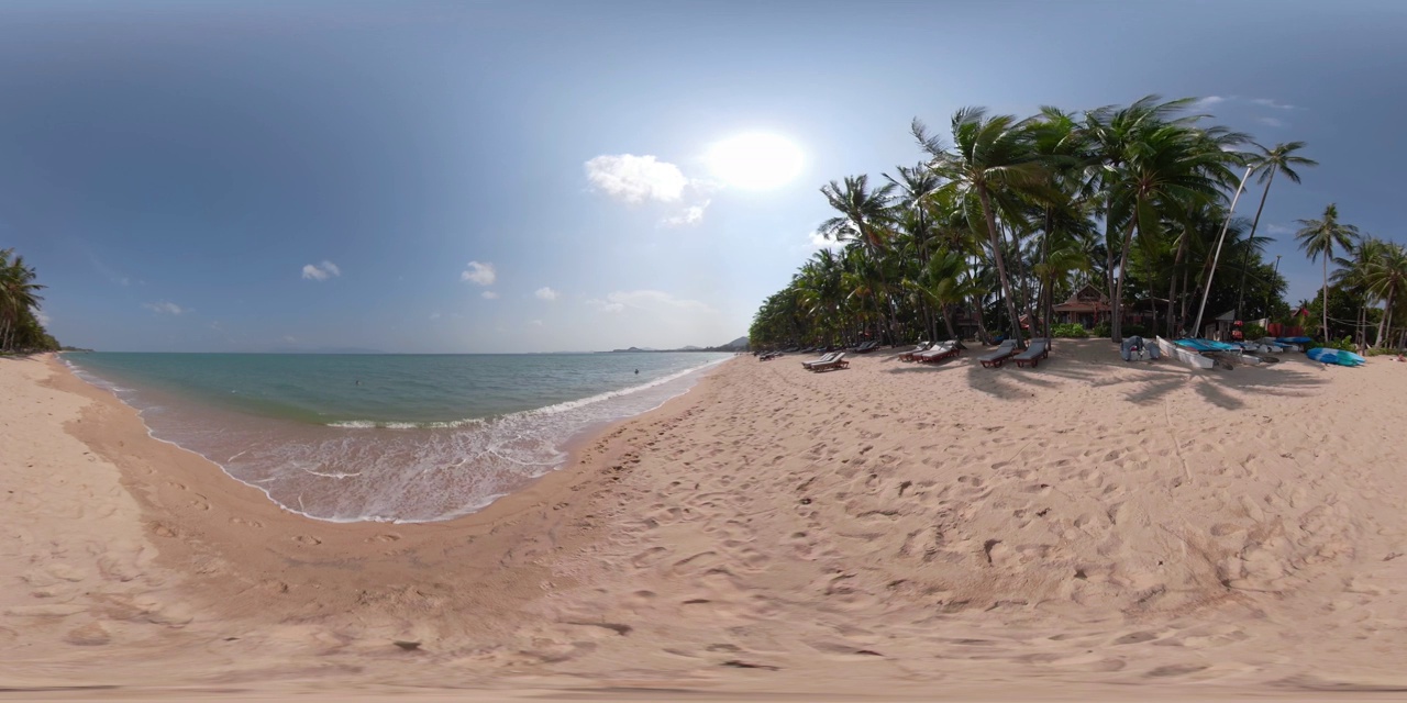 360 VR /沙滩和棕榈树视频素材
