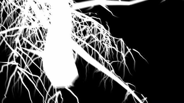 阿尔法通道就是黑色和白色的根在生长视频素材