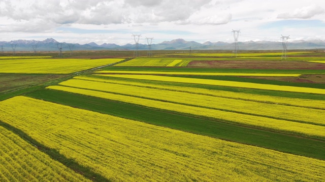 西藏高原农田的高角度视图视频素材