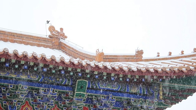 紫禁城/北京故宫博物院的雪景视频素材