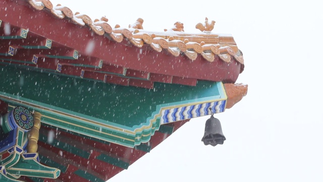紫禁城/北京故宫博物院的雪景视频下载