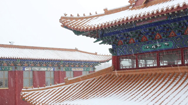 紫禁城/北京故宫博物院的雪景视频素材