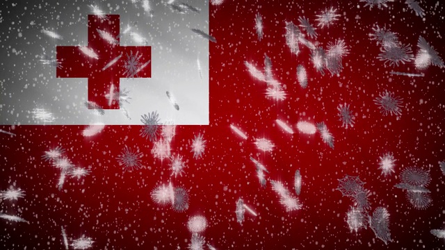 汤加国旗飘落的雪花可循环，以新年和圣诞节为背景，循环视频下载