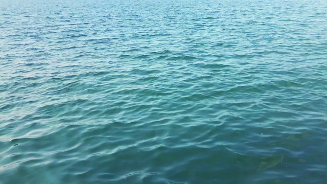 平静的蓝色海面4k视频素材