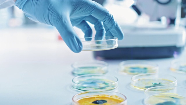 科学家使用培养皿与各种细菌，组织和血液样本。抗生素药物开发的概念，用DNA增强药物治疗疾病。移动特写宏视频素材