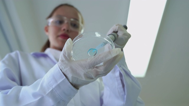 女性医学研究科学家将移液管滴入培养皿进行科学实验视频素材