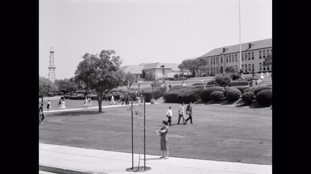 20世纪50年代，美国加利福尼亚州比弗利山，学生们在比弗利山高中外面散步视频素材