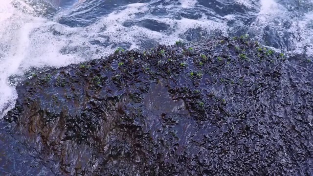 海浪拍打着石头视频下载