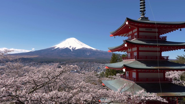 富士山上的樱花和宝塔视频素材