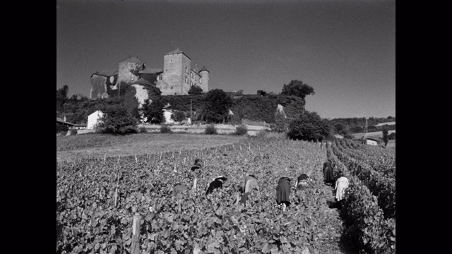 农场工人在田野里工作，背景是山上的城堡，法国视频素材