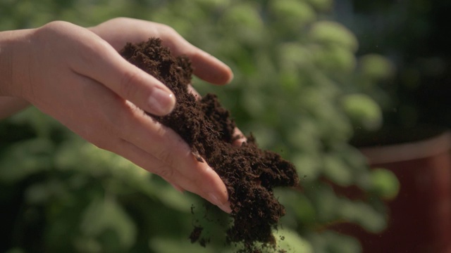 土壤栽培的泥土，土壤，地面，农业土地背景培育婴儿植物在手视频素材