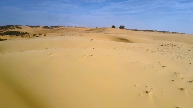 蓝天下的小妇人形象的沙漠景观视频下载