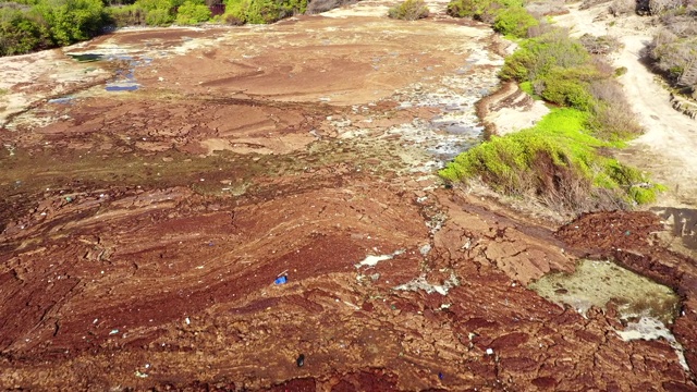 鸟瞰图Curaçao海岸在加勒比海与海湾充满马尾藻海藻和塑料垃圾周围的博卡阿森松视频素材