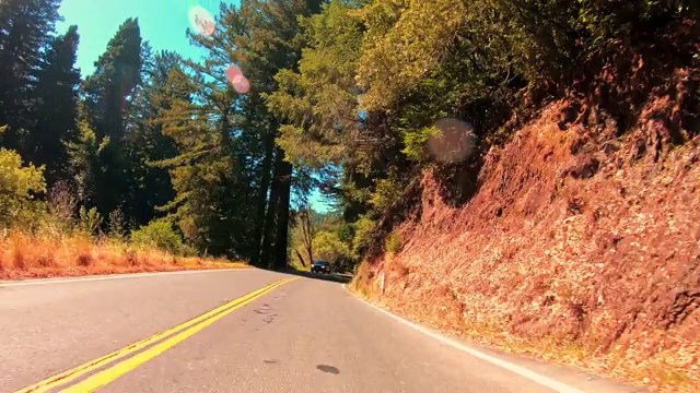 开车穿过加州的红杉林视频素材