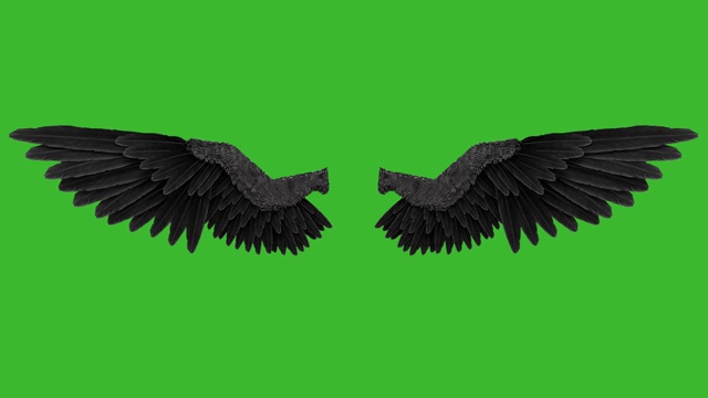 黑色天使的翅膀以绿色为背景视频素材