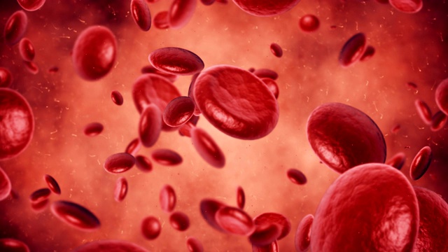 血细胞视频素材