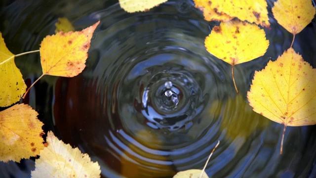 水滴滴在静止的水面上的慢动作镜头视频素材