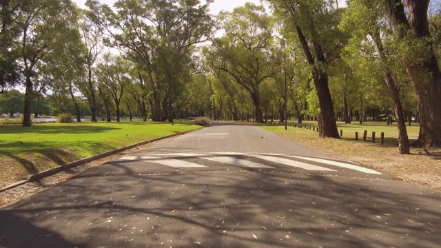 骑自行车，跑步，开车穿过城市公园。人观点板。阳光明媚的一天,树。视频下载