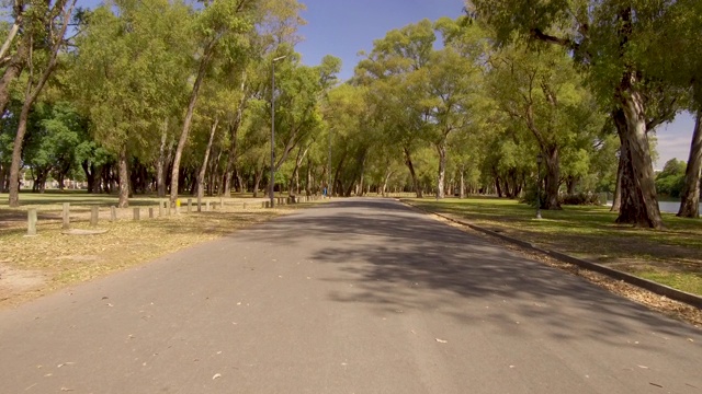 骑自行车，跑步，开车穿过城市公园。人观点板。阳光明媚的一天,树。视频下载