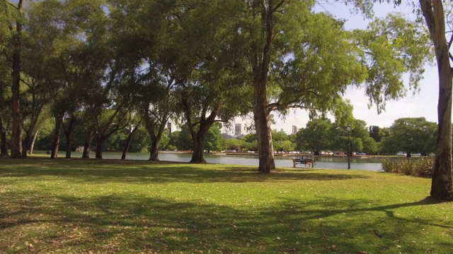 湖，侧视图摄影车。城市公园。人观点板。阳光明媚的一天,树。视频下载